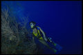 156075 Scuba Diver On Caribbean Wall A4 Photo Print