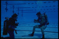 156084 Divers Training In Swimming Pool A4 Photo Print