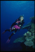 156094 Scuba Diver And Pacific Hard Corals A4 Photo Print