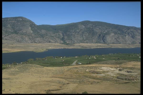 157000 Okanagan Vineyard, British Columbia A4 Photo Print