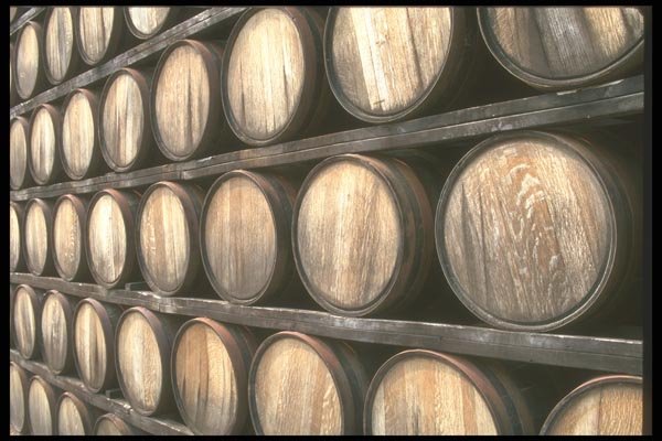 157026 Fortified Wines A4 Photo Print