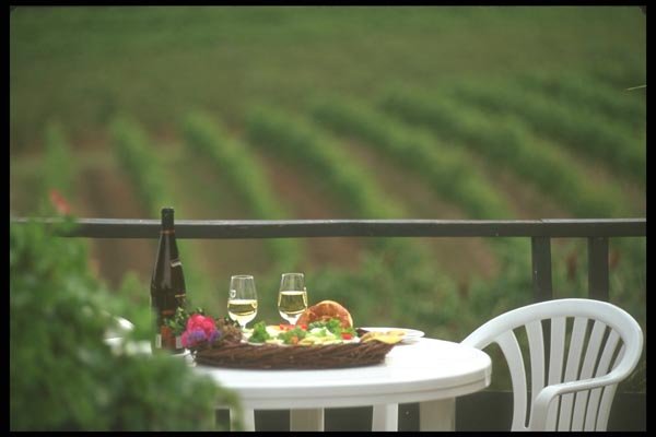 157031 Cheese Platter, Niagara Peninsula A4 Photo Print