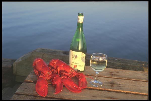 157032 Lobster And Wine still Life A4 Photo Print