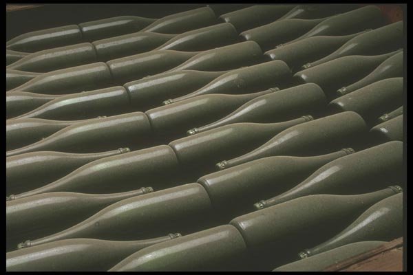 157034 Champagne aging A4 Photo Print