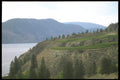157053 Okanagan Valley Irrigation Plateau A4 Photo Print
