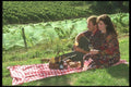 157054 Couple Enjoying Picnic A4 Photo Print