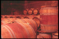 157067 Oak Aging Barrels A4 Photo Print
