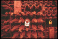 157070 Wine Cellar A4 Photo Print
