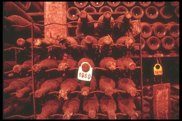 157070 Wine Cellar A4 Photo Print