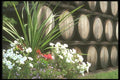 157083 Fortified Wines A4 Photo Print
