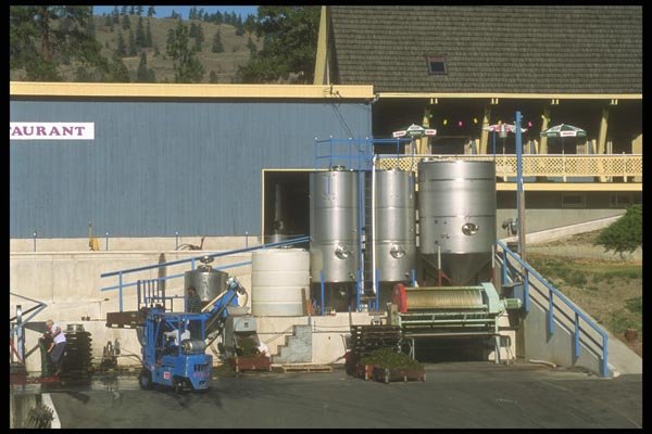 157084 Wine making Vats A4 Photo Print