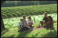 157092 Group Picnic A4 Photo Print