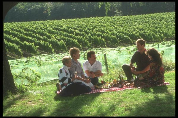 157092 Group Picnic A4 Photo Print