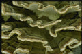 158062 Close up Of Turkey Tail Polypore A4 Photo Print