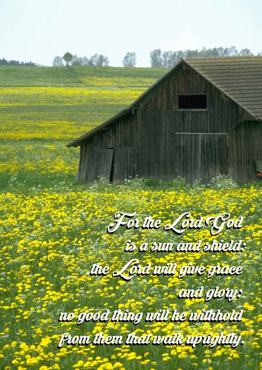 Cursed shalt thou be when thou comest in and cursed shalt thou be when thou goest out A4 photo print 