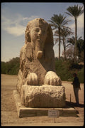161038 Sphinx Of Memphis, Egypt A4 Photo Print