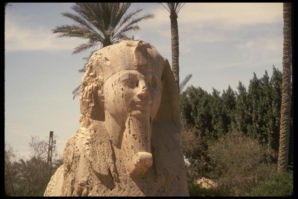 161039 Sphinx Of Memphis, Egypt A4 Photo Print