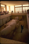 161056 Colossus Of Memphis, Egypt A4 Photo Print