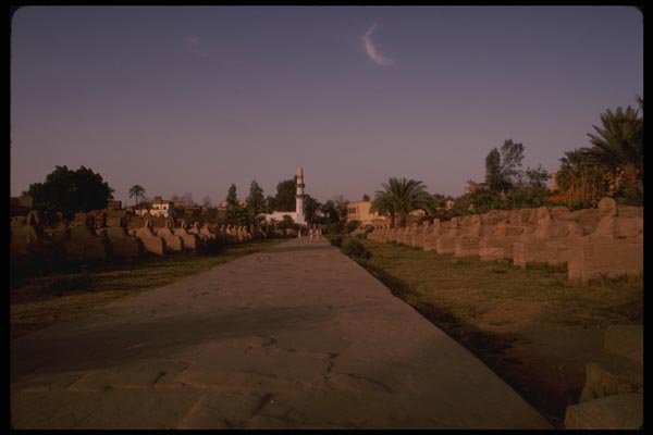 161074 Amen Temple, Luxor, Egypt A4 Photo Print