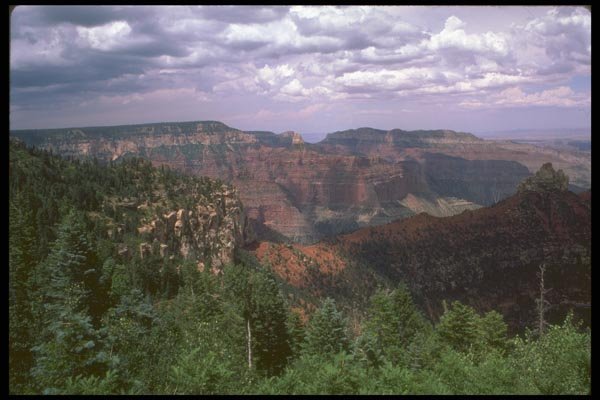 162001 Colors At The North Rim A4 Photo Print