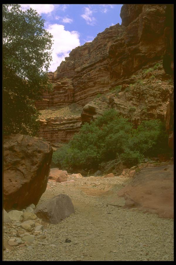 162003 Canyon Wash A4 Photo Print