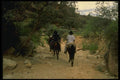 162009 Havasupai Indians On Trail A4 Photo Print