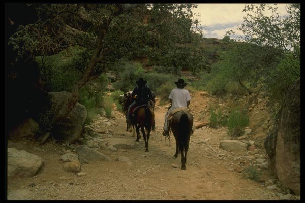 162009 Havasupai Indians On Trail A4 Photo Print