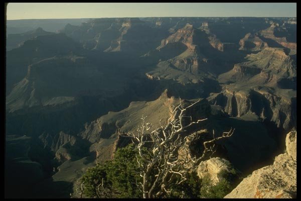 162034 South Rim Of Grand Canyon A4 Photo Print