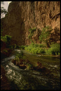 162041 Lush Havashu Creek A4 Photo Print