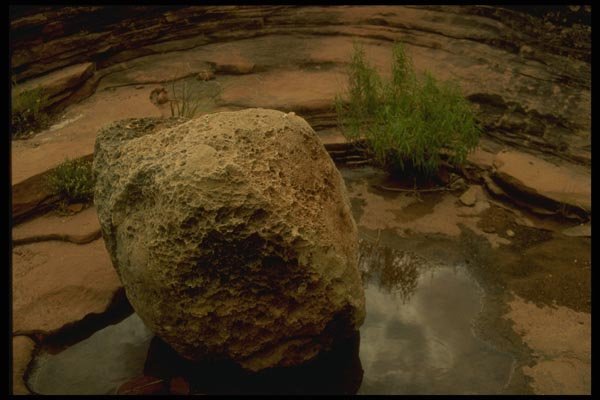 162052 Boulder In Puddle A4 Photo Print