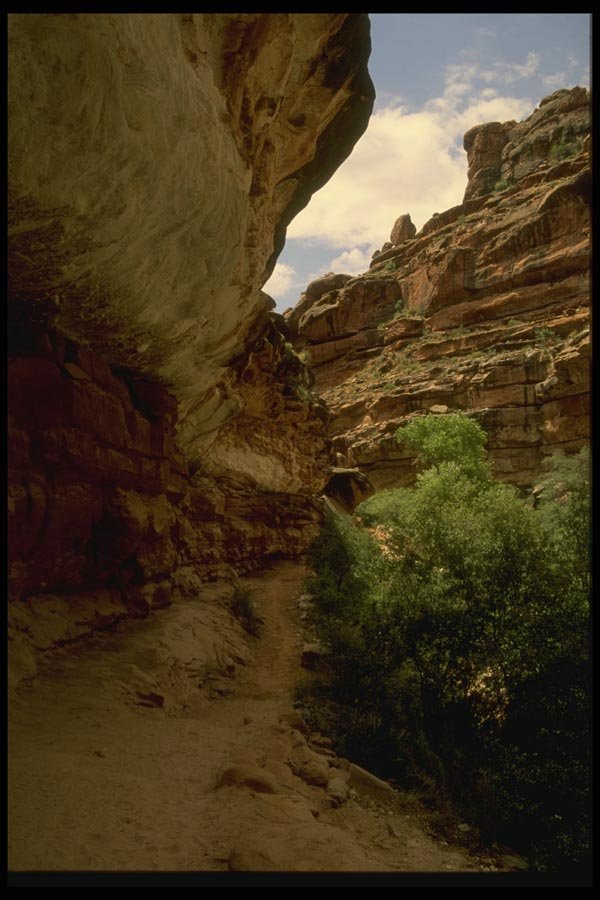 162068 Canyon Walls A4 Photo Print