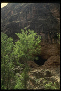 162076 Old Mine Entrance A4 Photo Print