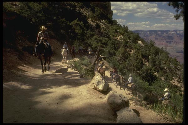162078 Mule Rider With Cowboy Hat A4 Photo Print
