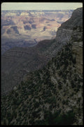 162083 New Growth On Canyon Slope A4 Photo Print