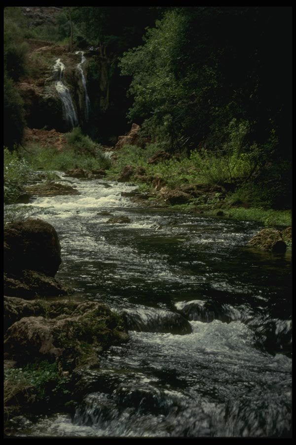 162090 Creek Flowing To The River A4 Photo Print