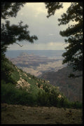 162095 Canyon Through Pine Trees A4 Photo Print