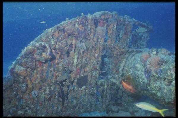 164051 Coral encrusted Shipwreck A4 Photo Print
