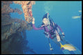 164072 Diver On Wreck Of Rhone A4 Photo Print