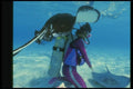 164085 Diver And Stingrays A4 Photo Print
