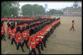 165003 Welsh Guards A4 Photo Print