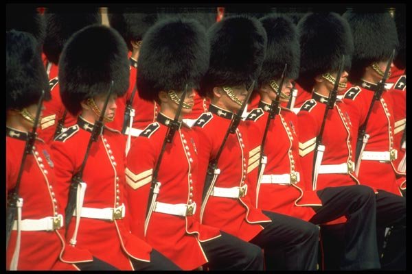 165009 Foot Guards (Welsh Guards) A4 Photo Print