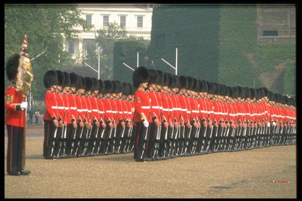 165015 The Thin Red Line A4 Photo Print
