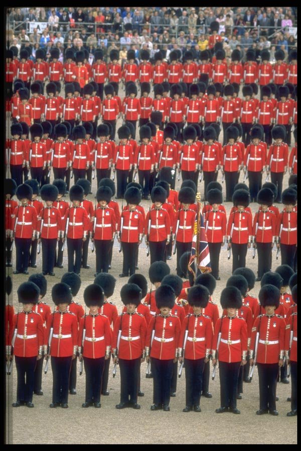 165016 The Color Is Ready For March Past A4 Photo Print
