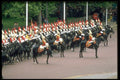 165024 Household Cavalry A4 Photo Print