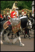 165028 Drummer Life Guards A4 Photo Print