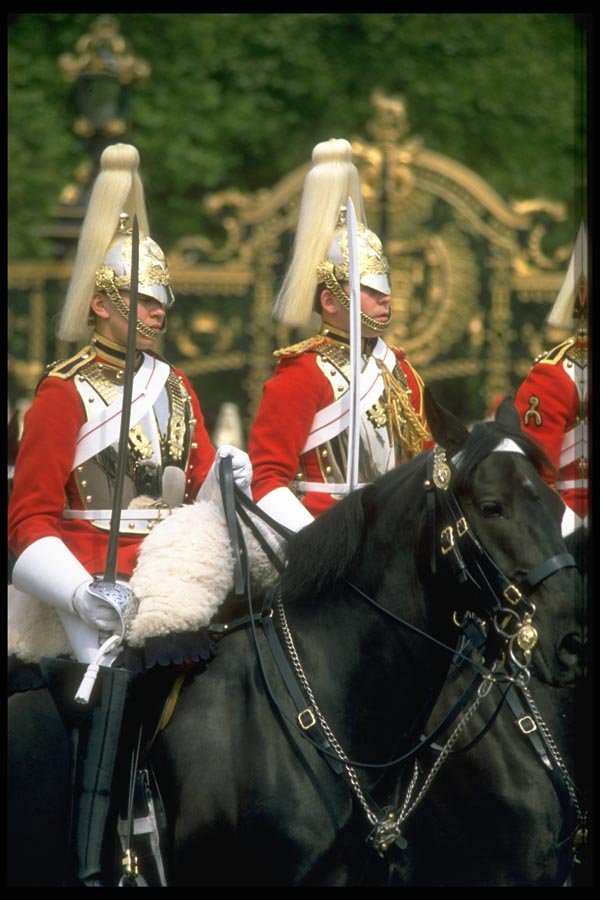 165029 Life Guards A4 Photo Print
