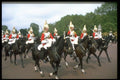 165031 Mounted Life Guards A4 Photo Print