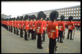 165038 Pre trooping Inspections A4 Photo Print