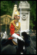 165048 Officer, Life Guards A4 Photo Print