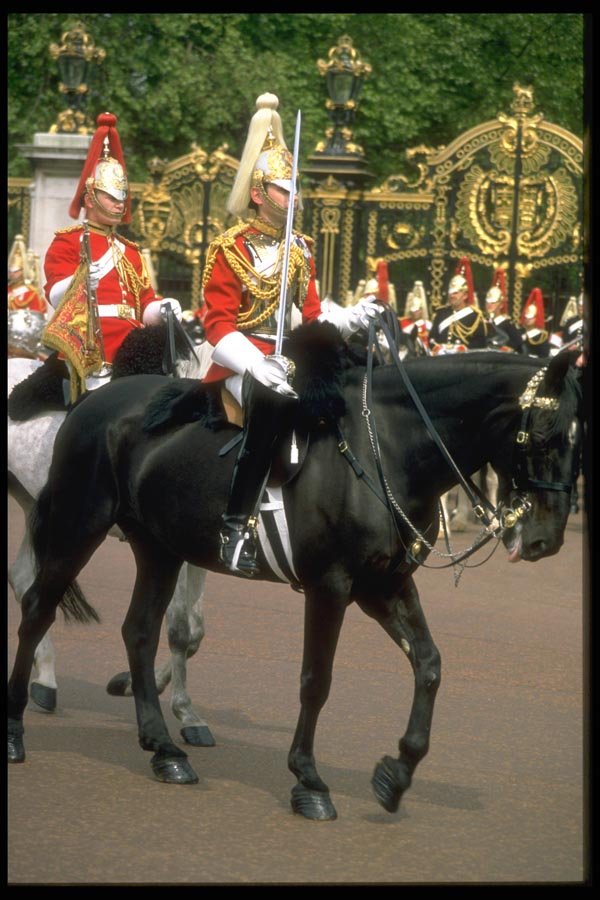 165049 Officer, Mounted Life Guards A4 Photo Print